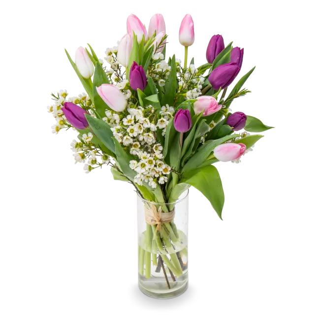 Bouquet of tulips purple
